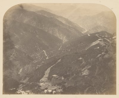 (Josephine e Pine Tree) da Carleton E. Watkins